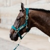 Afbeelding van Kentucky Paardenlijn rope Emerald- 200 cm