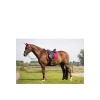 Afbeelding van BR Event zadeldek Cooldry® dressuur Red Plum- Cob