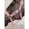 Afbeelding van Kentucky Velvet halster Old rose- Full