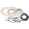 Afbeelding van Harry's Horse Longeerhulpteugel - full