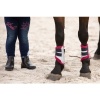 Afbeelding van Harry's Horse Beenbeschermers Diva Stella zilver- shetland