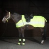 Afbeelding van Harry's Horse Uitrijdeken Reflective Waterproof - xl