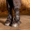 Afbeelding van Harry's Horse Peesbeschermers Pinlock zwart- shetland