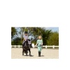 Afbeelding van BR Mini Horse oornetje Cadet- Shetland