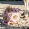 Afbeelding van Kentucky Relax Paardenspeeltje speel- en hooibal Old rose- Large