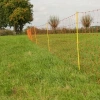 Afbeelding van Gallagher Schapennet, Oranje 90/2-14/G-50m