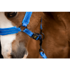 Afbeelding van Excellent Superior Halster Blauw XS