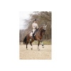 Afbeelding van ANKY® Proficient Boot Moon Rock- XL
