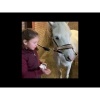 Afbeelding van Lucky Horse Unicorn Horse Treats