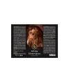 Afbeelding van BR wit shampoo 500 ml VE6