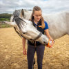 Afbeelding van Horslyx Mini Mobiliteit