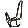 Afbeelding van Harry's Horse Halster Padded oranje- x-full