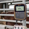 Afbeelding van Gallagher Weegschaal TW-1