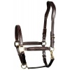 Afbeelding van Harry's Horse Halster Leder Supreme zwart- cob