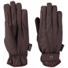 Afbeelding van Harry's Horse Handschoenen Alaska Waterproof bruin- xl