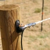 Afbeelding van Gallagher Cord verbinder met vleugelmoer (4)