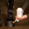 Afbeelding van Harry's Horse Hoefolie met kwast Natural (450 ml) - uni