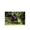 Afbeelding van BR Event oornetje Mellow Yellow- Pony