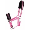 Afbeelding van Harry's Horse Halster Lyrics Quotes zwart- pony
