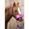 Afbeelding van Harry's Horse Halsterset LouLou Royce bright-violet- full