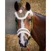 Afbeelding van Harry's Horse Halsterset en Muts Christmas rood- pony
