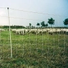 Afbeelding van Gallagher Schapen Turbonet, Wit 90/1-14/W-50m