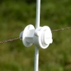 Afbeelding van Gallagher Schroefisolator Wit voor paal ø 6-14mm (10)