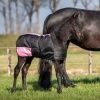 Afbeelding van Harry's Horse Veulendeken TwoTone 200gr navy- 65