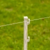 Afbeelding van Gallagher Duopack Vario paal wit 1,00m (2x10)