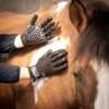 Afbeelding van Harry's Horse Poetshandschoen Intense zwart