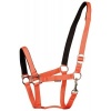 Afbeelding van Harry's Horse Halster Padded roze- pony