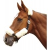 Afbeelding van Harry's Horse Halsterbontjes Merino cream