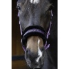 Afbeelding van Harry's Horse Halster Lyrics Quotes lime- pony