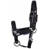 Afbeelding van Harry's Horse Veulenhalster Padded navy- veulen