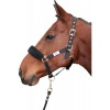 Afbeelding van Harry's Horse Neusbontje Synthetisch beige