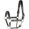 Afbeelding van Harry's Horse Halster Leder met bies goud- cob
