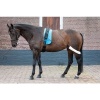 Afbeelding van Harry's Horse Longeerhulpteugel - full