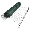 Afbeelding van Gallagher Kippennet, Groen 112/1-15/Z-50m