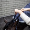 Afbeelding van Lami-Cell Nekstuk Armadillo Blue- S