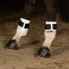 Afbeelding van Harry's Horse Strijklappen Protech zwart- full