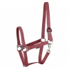 Afbeelding van Harry's Horse Halster Economy STLT legergroen- cob