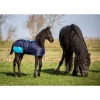 Afbeelding van Harry's Horse Veulendeken TwoTone 200gr zwart- 65