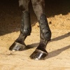 Afbeelding van Harry's Horse Peesbeschermers Percy Air navy- cob