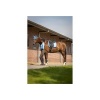 Afbeelding van BR Event strijklappen zonder elastiek All Aboard- Pony