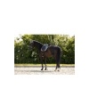 Afbeelding van BR Event oornetje Mulled Basil- Pony