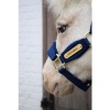 Afbeelding van Kentucky Velvet halster Navy- Shetty