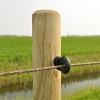 Afbeelding van Gallagher Schroef-ringisolator Economy hout (75)
