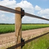 Afbeelding van Gallagher TurboStar Paarden tussenisolator (100)