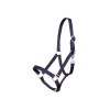 Afbeelding van Premiere halster Blauw- Cob