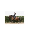Afbeelding van ANKY® strijklappen Port Royale- L